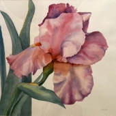 Ianthe Hudson - "Iris” – Ianthehudson@gmail.com