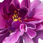 Whitney Morman - "Pink Peony” – http://www.leigharttx.com/