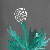 David Rubin - "Dandelion on Gray” – daru3@aol.com