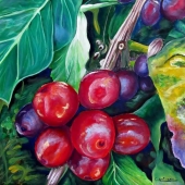 Carol Allen Anfinsen - "Cafe' Costa Rica” – anfinsen65@comcast.net