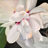 Julia Tomtschik - "Soft Petals” – http://msha.ke/julia.tomts