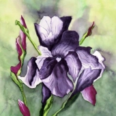 Josée Bourassa - "Iris” – https://artbyjoseebourassa.com/