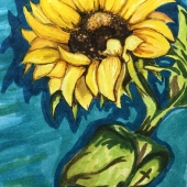 Tori Zirul - "Sunflower” – tezirul@gmail.com