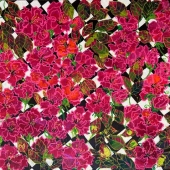 Badria Shamsi - "Flowers on My Fence” – https://www.saatchiart.com/badriashamsi