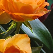 Cori Carroll - "Orange Roses” – http://www.corigallery.com/