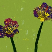 Peach Pair - "Two Flowers” – http://peachp.com/Flowers-yp