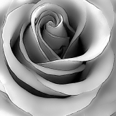 Kip Knott - "Upward” – http://www.kipknott.com/