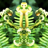 Silvia Schmidt - "For You” – https://www.silvia-schmidt-farbreisen.de/