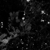 Erin Wang - "Meeting” – https://portfolioerin.cargo.site/