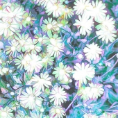 Mary McKenna Ridge - "As White as Snow” – http://marymckennaridgephotography.squarespace.com/