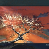 Joyce Wycoff - "Desert Wind” – http://www.joycewycoff.com/