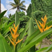 Katie West - "Paradise” – https://www.facebook.com/ksw1000photo