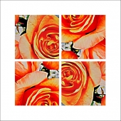 Sylvia Bandyke - "Ring around the Rosie” – https://facebook.com/bandyke/photocollage