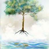 René Pauwels - "Growing Tree” – http://www.renepauwels.com/