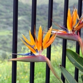 Kevin Callahan - "The Sentinels” – http://fineartamerica.com/profiles/kevin-callahan.html