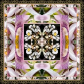 Dick and Rosanne - "Reverberations” – https://www.dickandrosanne.com/