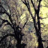 Eldred Boze - "Morning Frost” – http://eldredboze.com/