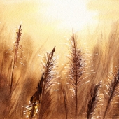 Hon. Mention - Maureen Fletcher - "Wheat Field” – www.iammaureenfletcher.com
