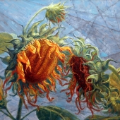 Hon. Mention – Huaqi Li - "The Time Stamp” – www.lihuaqi.com