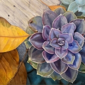 Hon. Mention - Lynda Sauls - "Tenacous Living” – www.lyndasaulsartist.com