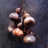 Hon. Mention - Gang Dai - "A String of Gourds” – daigangart@126.com