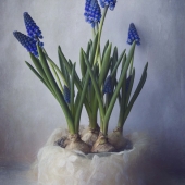 Hon. Mention – Jo Crane - "Spring” – https://justjosiephotography.myportfolio.com