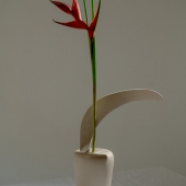 1st Place – Evgeniia Kazarezova - ”The Blooming Dome” - www.zheni.studio