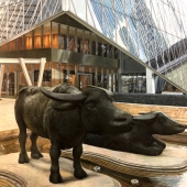 Lee Kwong Tim Jackson - "Firm and Secure” – http://www.jacksonlee-art.com/