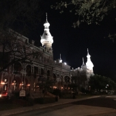 Judy Milsaps - "Night in Tampa” – judith5886@gmail.com