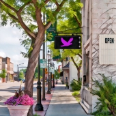 10th Place – Barbara Smits - "Wisdom Cries aloud in the Streets” – www.onwfrontiertours.com