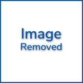 6th Place Image Removed