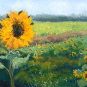 Wu, Meng-Yun - "Chasing the Sun” – lesleywu8689@gmail.com