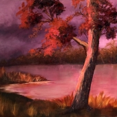 Lisa Oakley (Tomlinson) - "Sunrise on the Murray, Australia” – ljoakley@optusnet.com.au