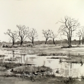 Ianthe Hudson - "Okavango 1” – Ianthehudson@gmail.com