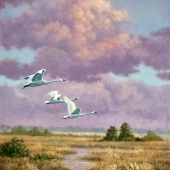 Christopher Forrest - "Low Country Visitors” – http://chrisforrestart.com/
