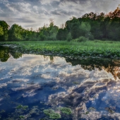 Holly Robbins - "The Peaceful Place” – https://ufoundholly.wixsite.com/holly-robbins-images