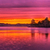 Holly Robbins - "Rainbow Raindrops” – https://ufoundholly.wixsite.com/holly-robbins-images