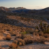 Larry Klink‬‏ - "Sunrise on Red Cliffs Trail” – http://www.earthwatcher.us/