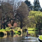 Yoichiro Sakai - "A Life of Elegant Ease” – https://www.yoichirosakai.com/
