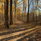 Melissa Jongkind - "Creek Ridge Autumn Trail” – msjongkind@outlook.com