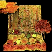 Steven Iseman – “Autumn Equinox” - http://www.stevenisemanart.ca/