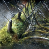 Guozheng Fang - "Still Alive” – fang717171@163.com