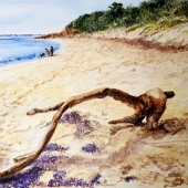 Jan Lowe - "Driftwood Beached” – http://www.janlowefineart.com/