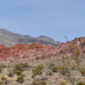 Judy Milsaps - "Red Rock Canyon” – judith5886@gmail.com