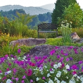 Sharon Eng - "A Place to Ponder” – http://www.sharon-eng.pixels.com/