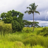 Robert Bolla - "Fiji: Dearau Island the Storm Gathers” – https://fineartamerica.com/profiles/robert-bolla