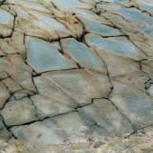 Efi Sutton - "Abstract by Nature No.4” – http://www.abstractbynaturephotography.com.au/