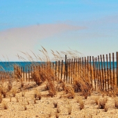 Leo Tujak - "Dune Fence II” – https://leotujak.viewbug.com/
