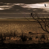 Mary F Wicks - "The Angst of Yearning” – mary@creekdigitalphotography.com