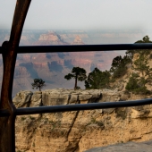 Todd Dieringer - "Protect Nature” – http://www.nicolastoddesigns.com/